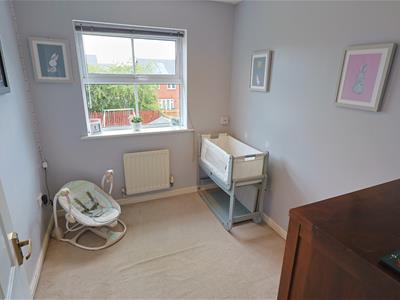 Picture 15